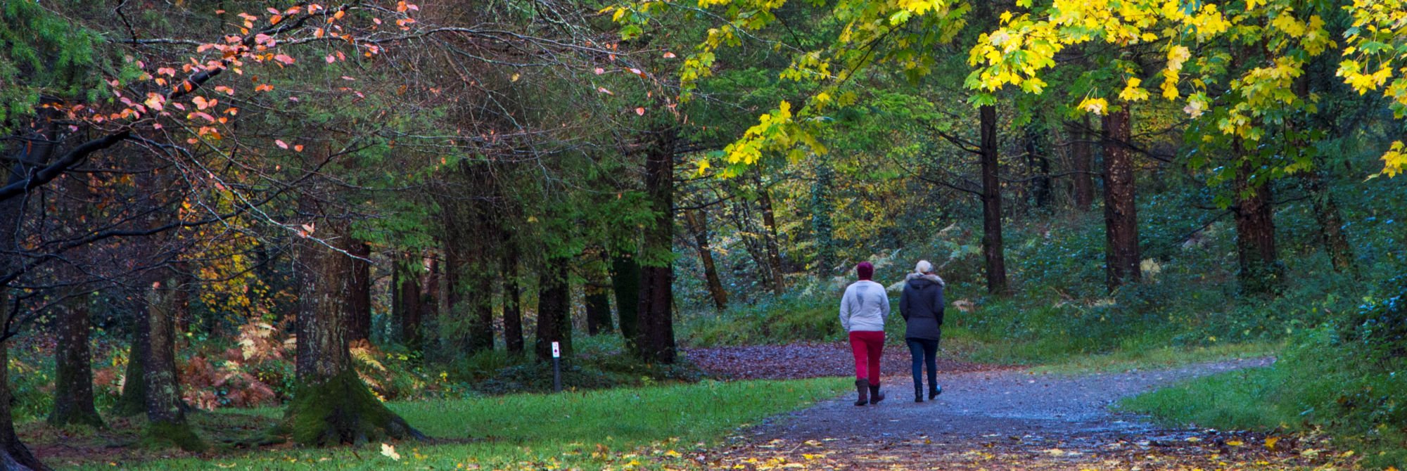 West Waterford  Irelands Greatest Nature Walk